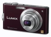Panasonic DMCFX60EBV