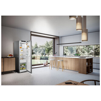 Liebherr RDSFE5220 60cm Tall Larder Fridge in Silver 1 85m 399L E Rate
