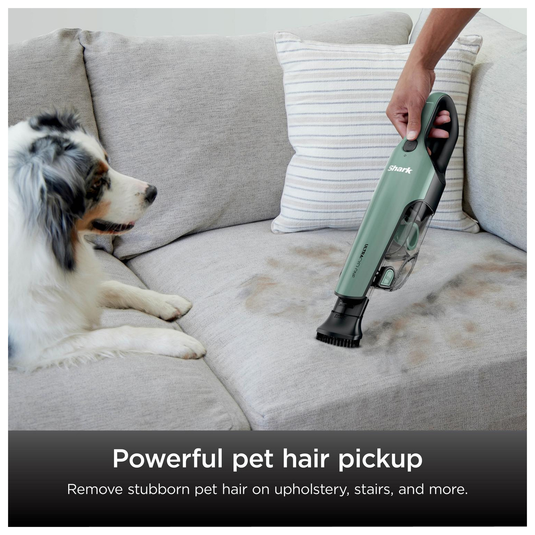 Shark CH901UK UltraCyclone Pro Cordless Handheld Vacuum Cleaner Green, photo 5