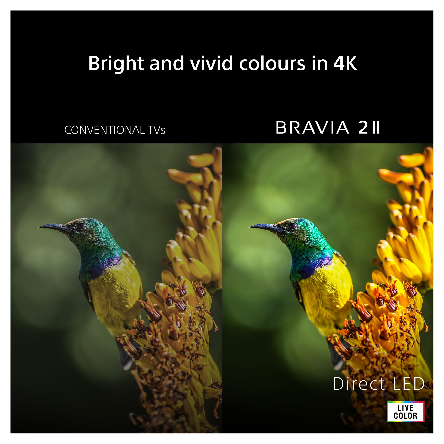 Sony K65S25M2PB 65 4K Ultra HD HDR Smart BRAVIA 2 II Direct LED TV HDR, photo 3