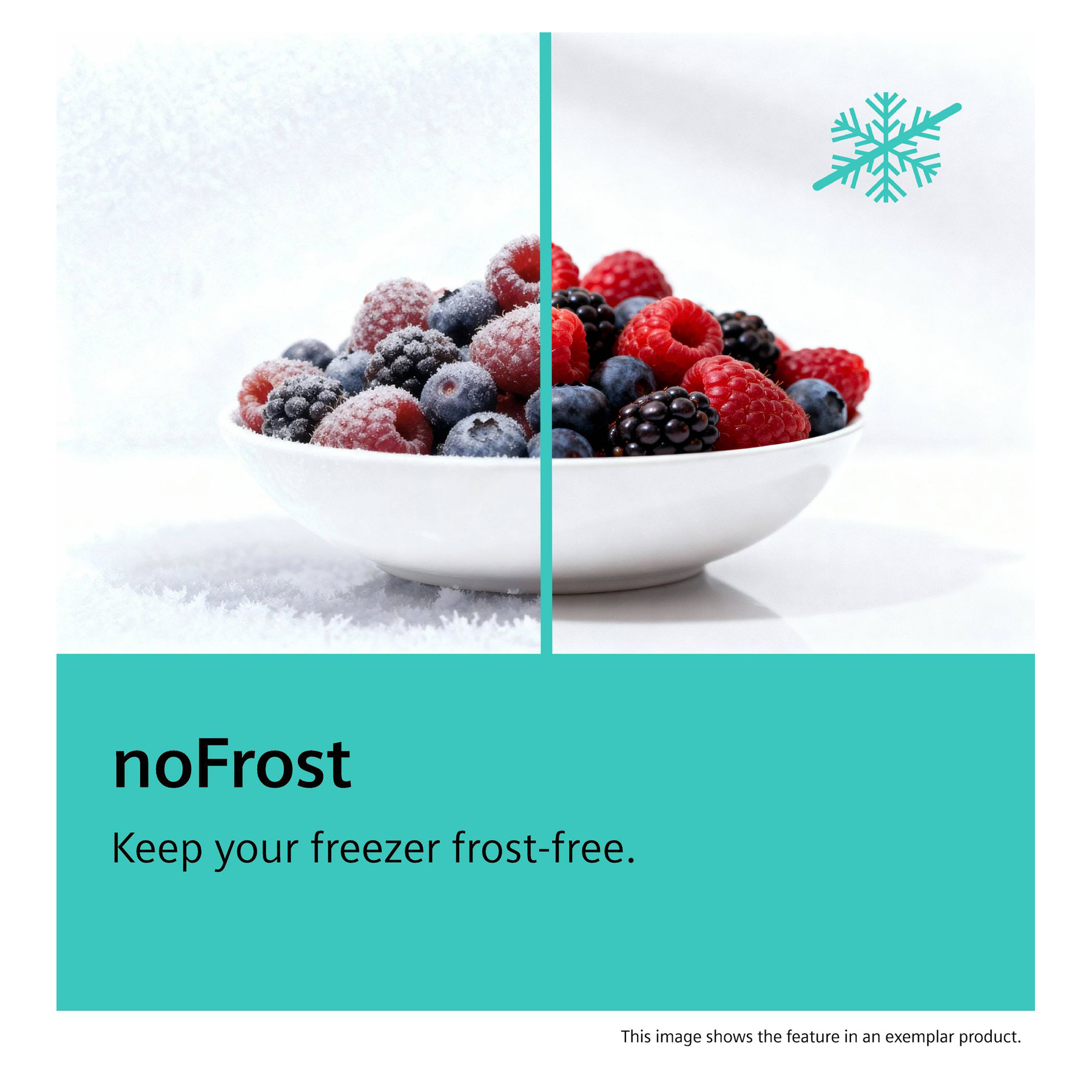 Siemens KI96NVFD0G iQ300 Integrated 70 30 Frost Free Fridge Freezer 19, photo 4