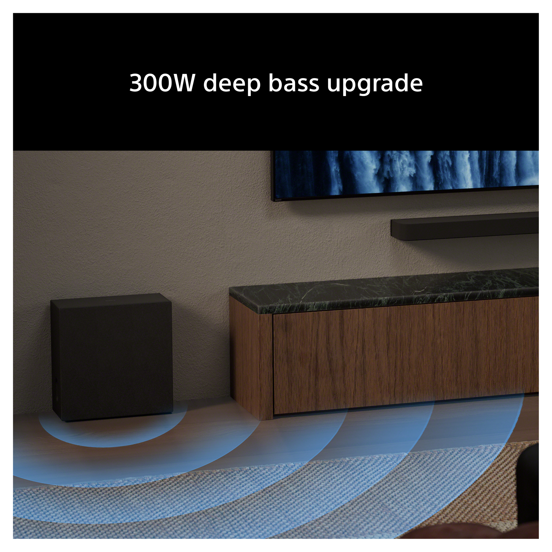 Sony SASW8 BRAVIA Theatre Sub 8 300W Wireless Subwoofer in Black, photo 2